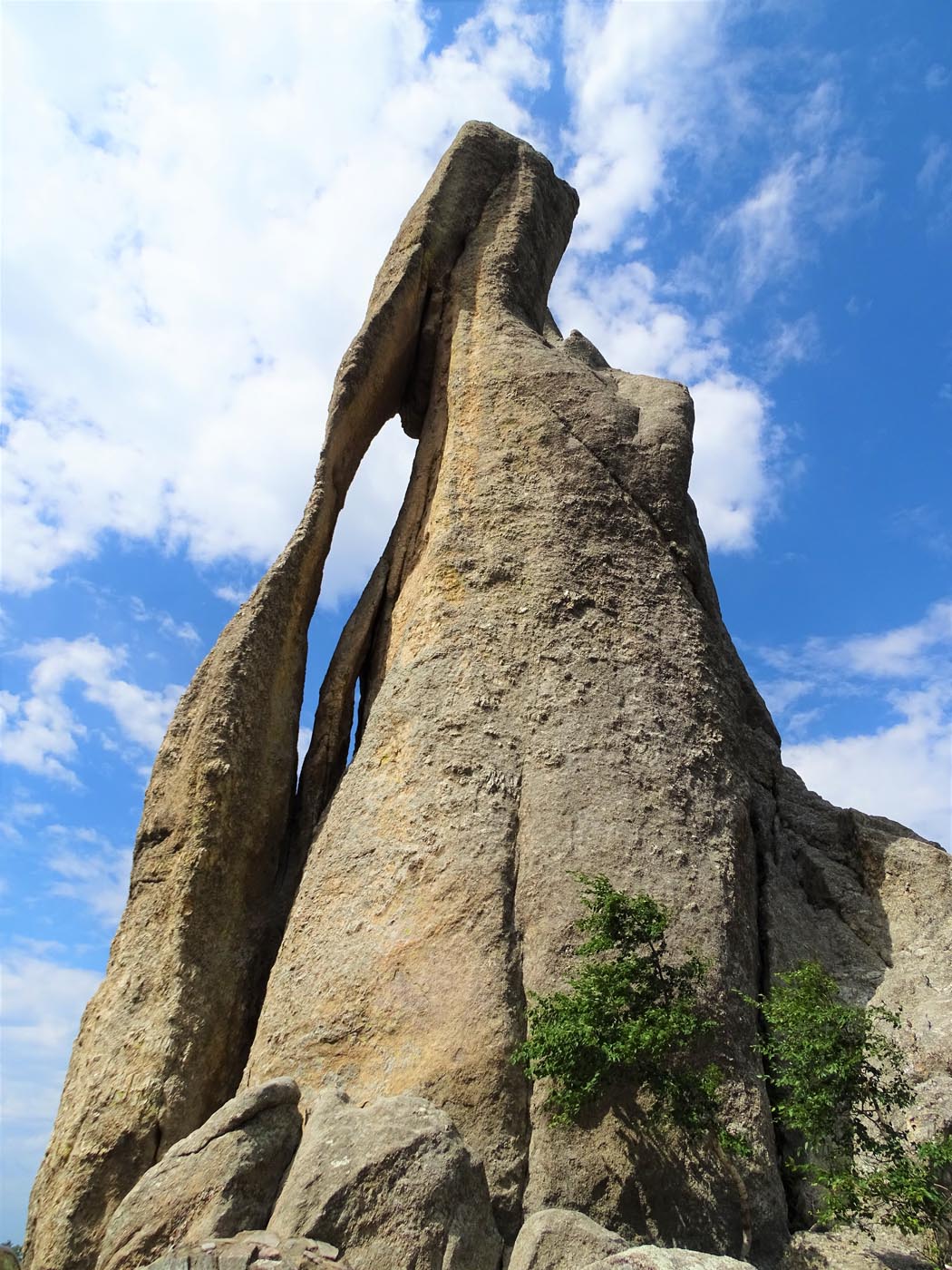 mt rushmore tours for seniors