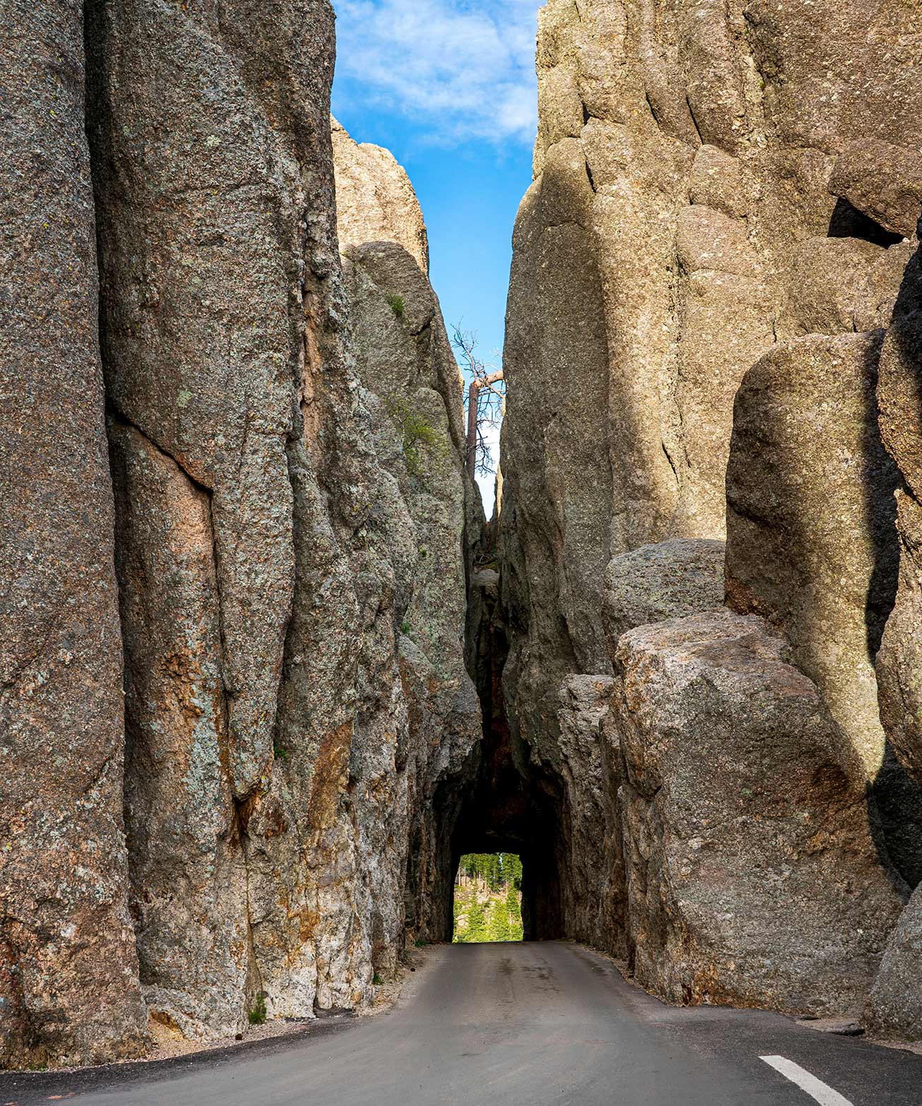 dakota tours mount rushmore